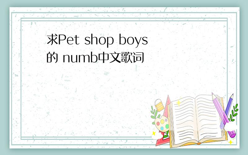求Pet shop boys的 numb中文歌词