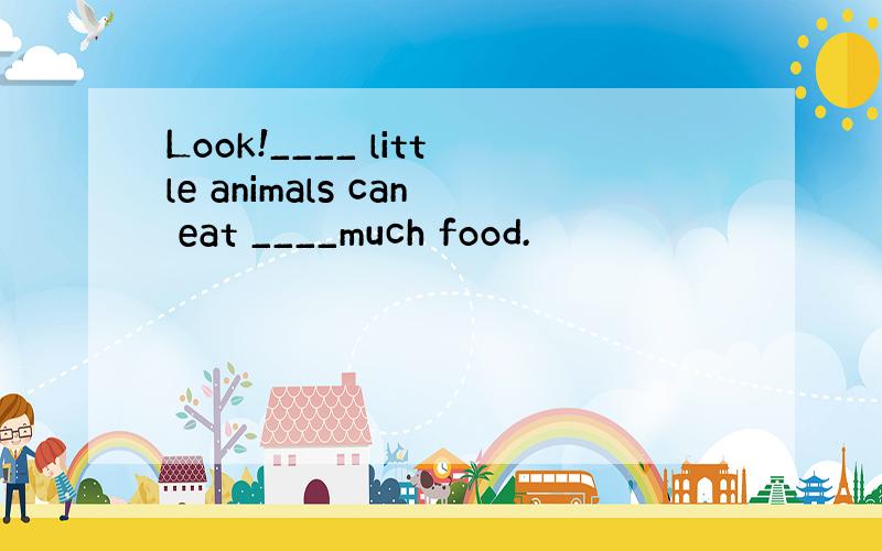Look!____ little animals can eat ____much food.