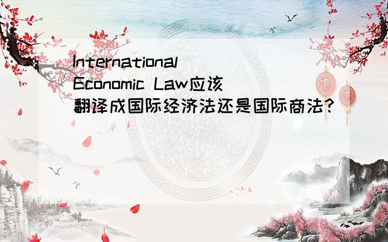 International Economic Law应该翻译成国际经济法还是国际商法?