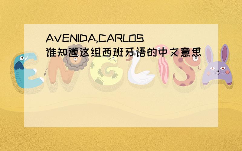 AVENIDA,CARLOS谁知道这组西班牙语的中文意思