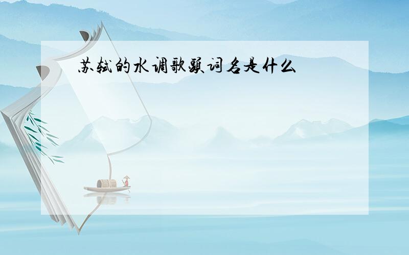 苏轼的水调歌头词名是什么