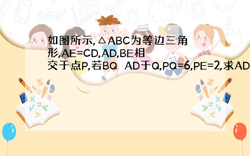如图所示,△ABC为等边三角形,AE=CD,AD,BE相交于点P,若BQ⊥AD于Q,PQ=6,PE=2,求AD的长