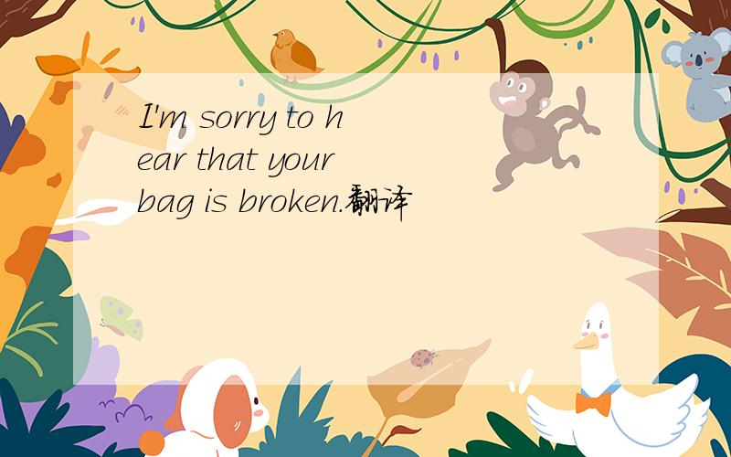 I'm sorry to hear that your bag is broken.翻译