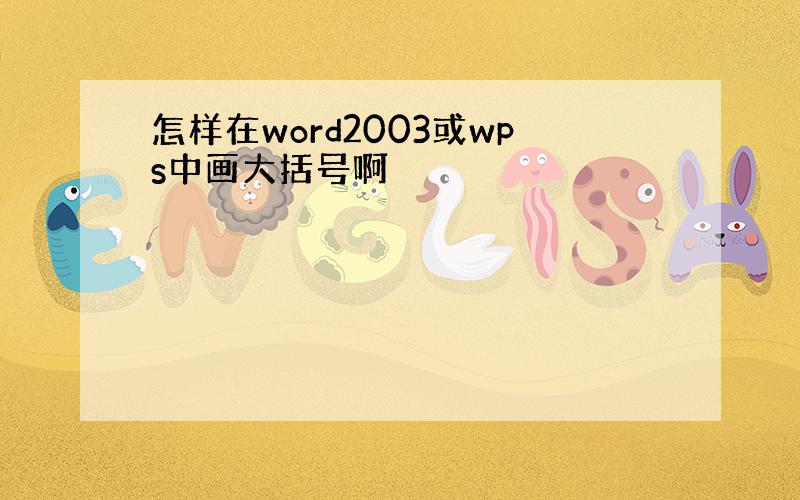 怎样在word2003或wps中画大括号啊