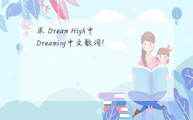 求 Dream High中 Dreaming中文歌词!