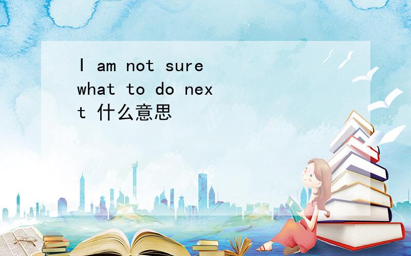 I am not sure what to do next 什么意思