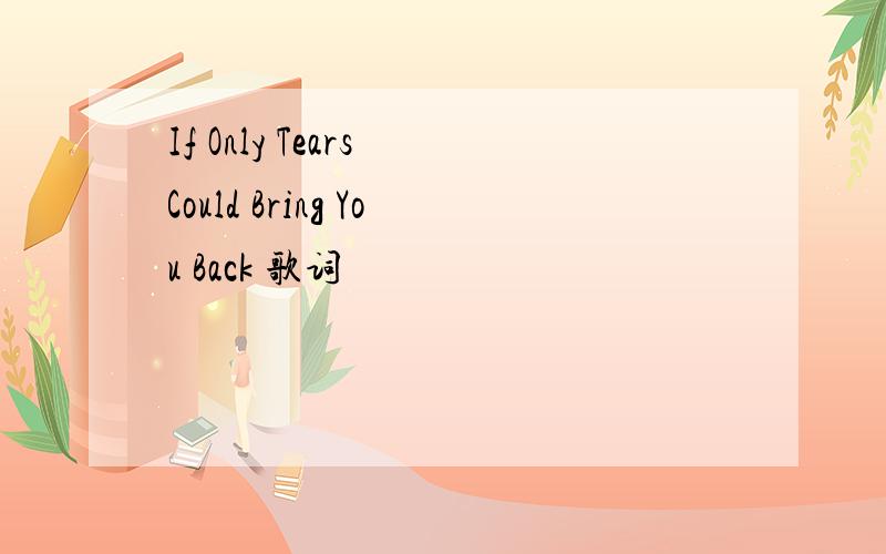 If Only Tears Could Bring You Back 歌词