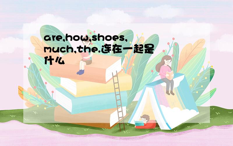 are,how,shoes,much,the.连在一起是什么