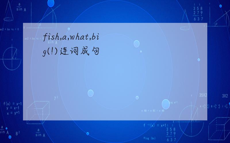 fish,a,what,big(!)连词成句