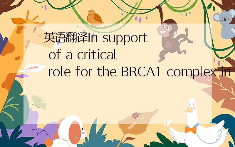 英语翻译In support of a critical role for the BRCA1 complex in c
