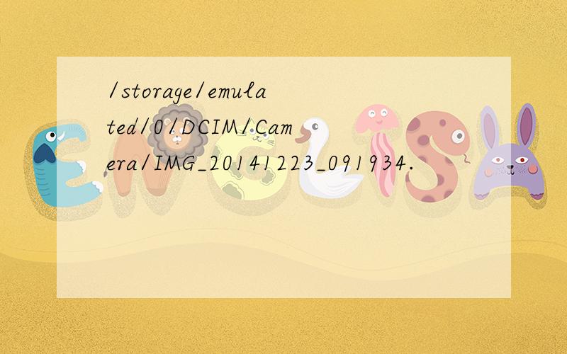 /storage/emulated/0/DCIM/Camera/IMG_20141223_091934.