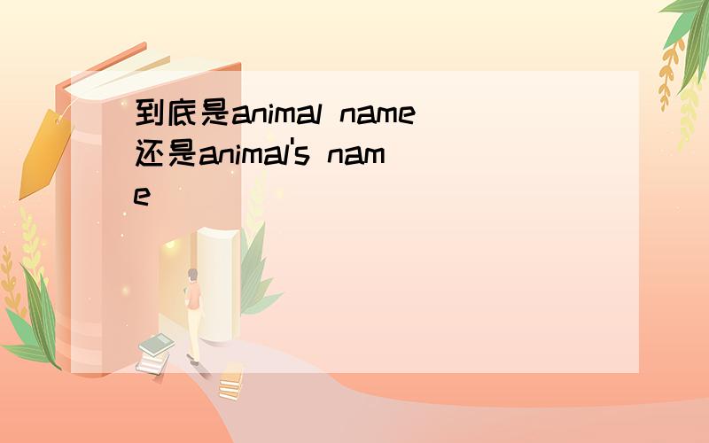 到底是animal name还是animal's name