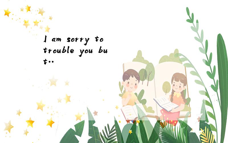 I am sorry to trouble you but..