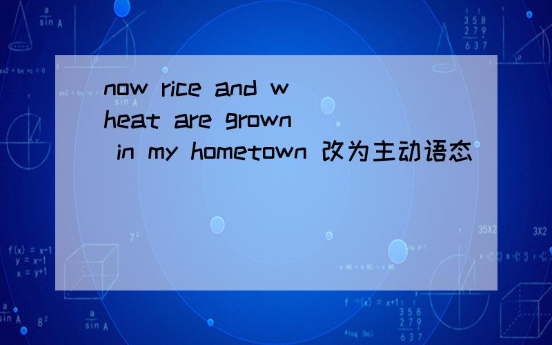 now rice and wheat are grown in my hometown 改为主动语态