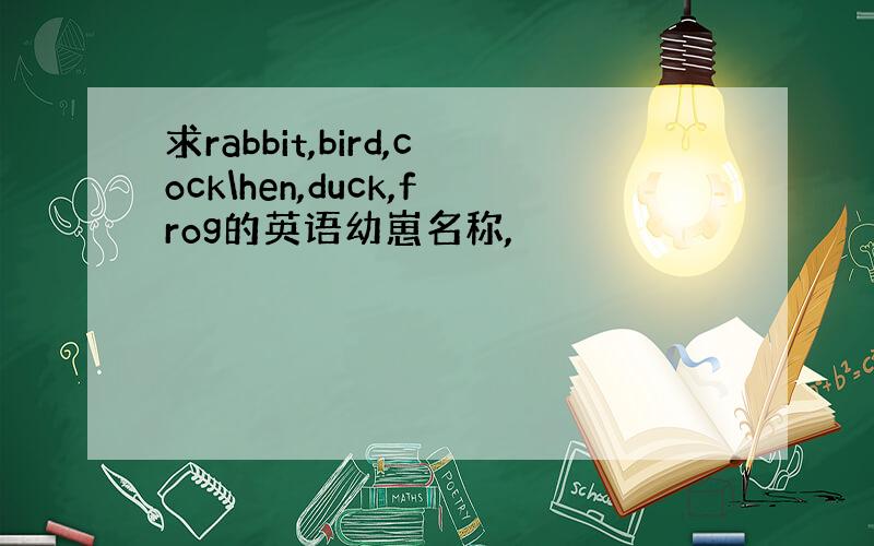 求rabbit,bird,cock\hen,duck,frog的英语幼崽名称,