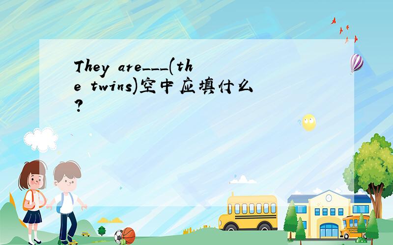 They are___(the twins)空中应填什么?