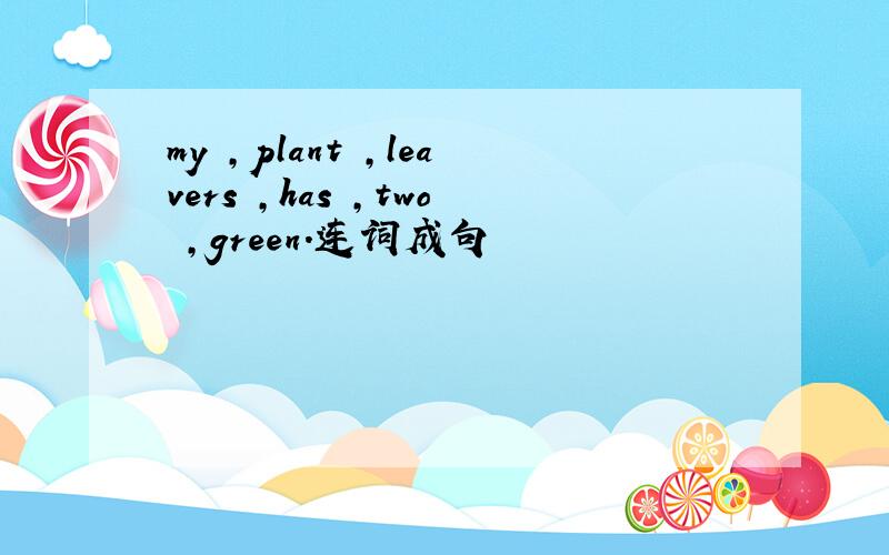 my ,plant ,leavers ,has ,two ,green.连词成句