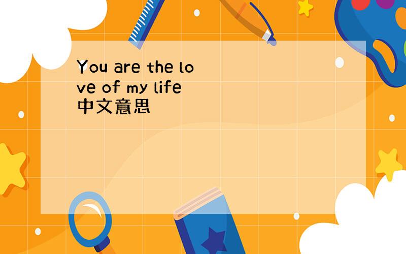 You are the love of my life 中文意思