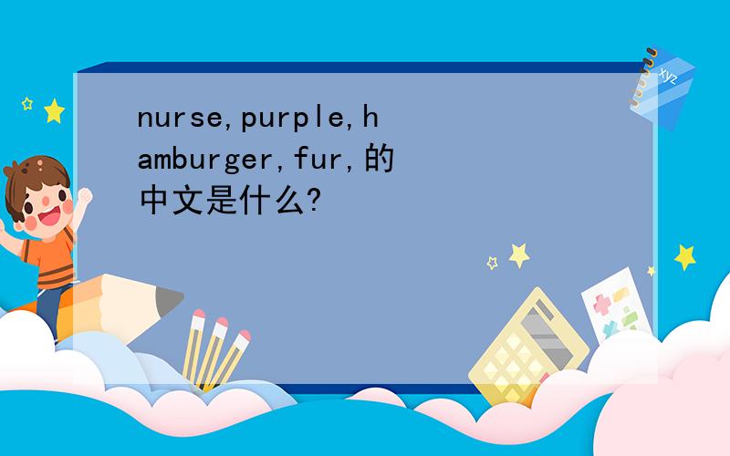 nurse,purple,hamburger,fur,的中文是什么?